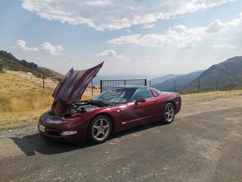 Corvette C5 50th anniversary (2003)