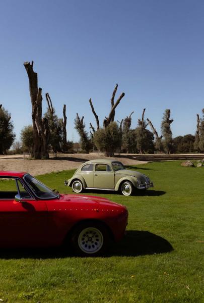 Volkswagen Escarabajo (1959)