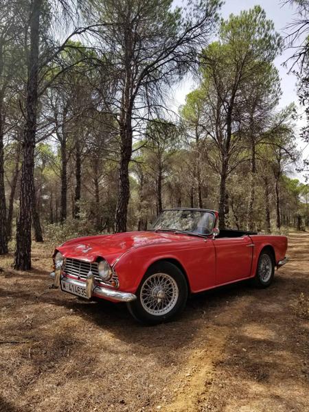 Triumph TR4 (1964)