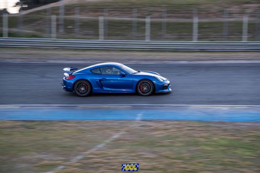 Porsche GT4 981 (2016)