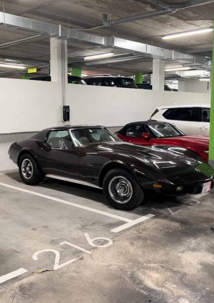 Corvette Stingray (1976)