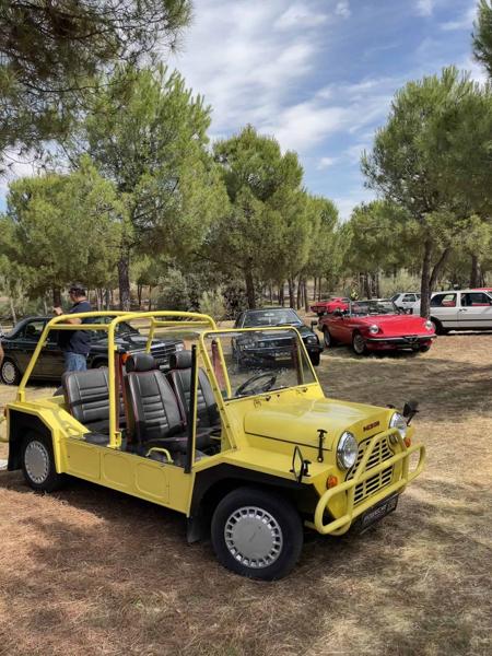 Mini Moke (1983)