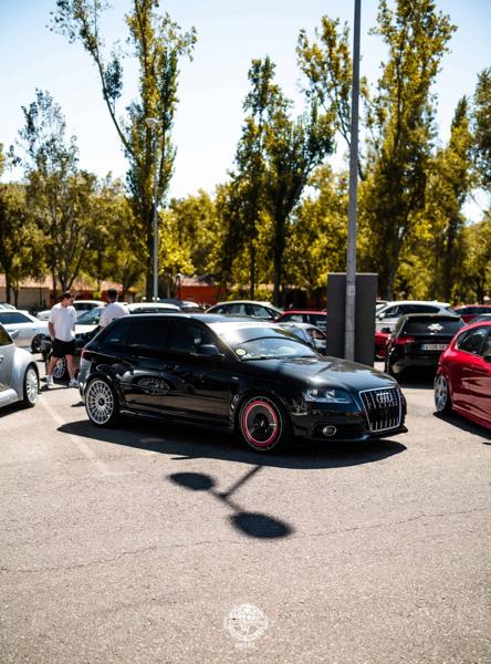 Audi A3 8PA Sportback (2009)