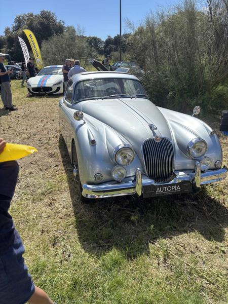 Lancia Fulvia Rallye S (1970)
