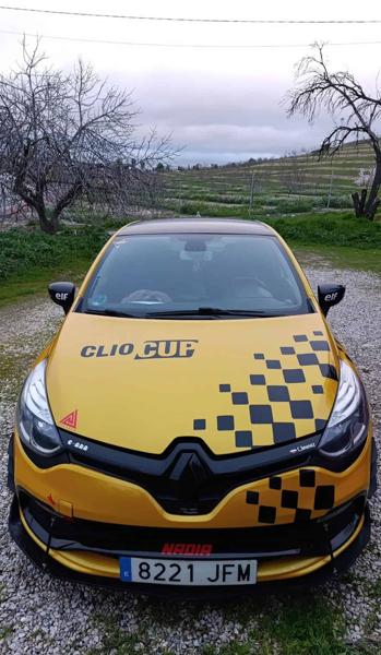 Renault Clio iv rs (2015)