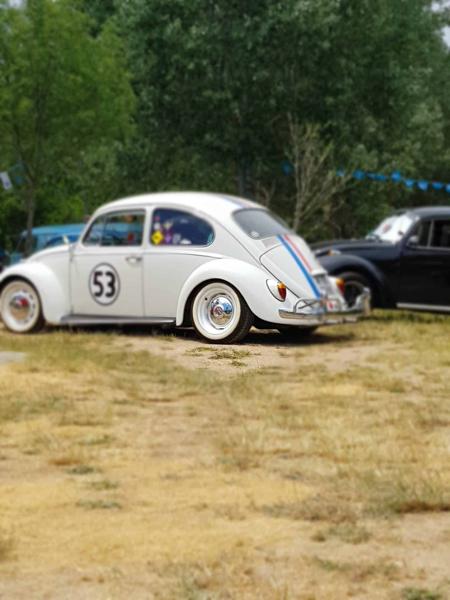 Volkswagen Escarabajo (1966)