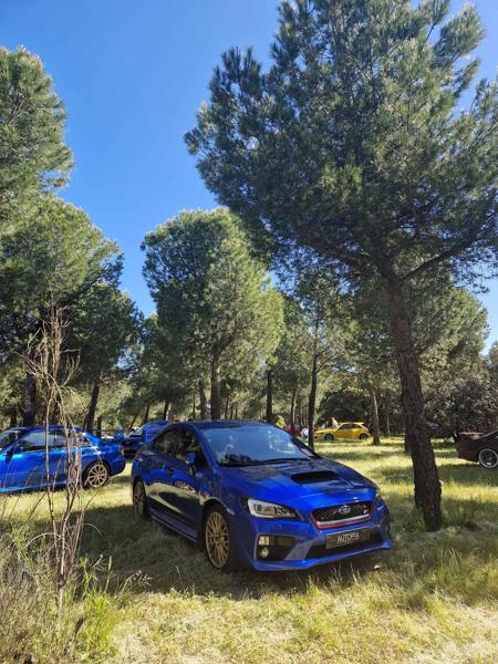 Subaru WRX STI (2015)