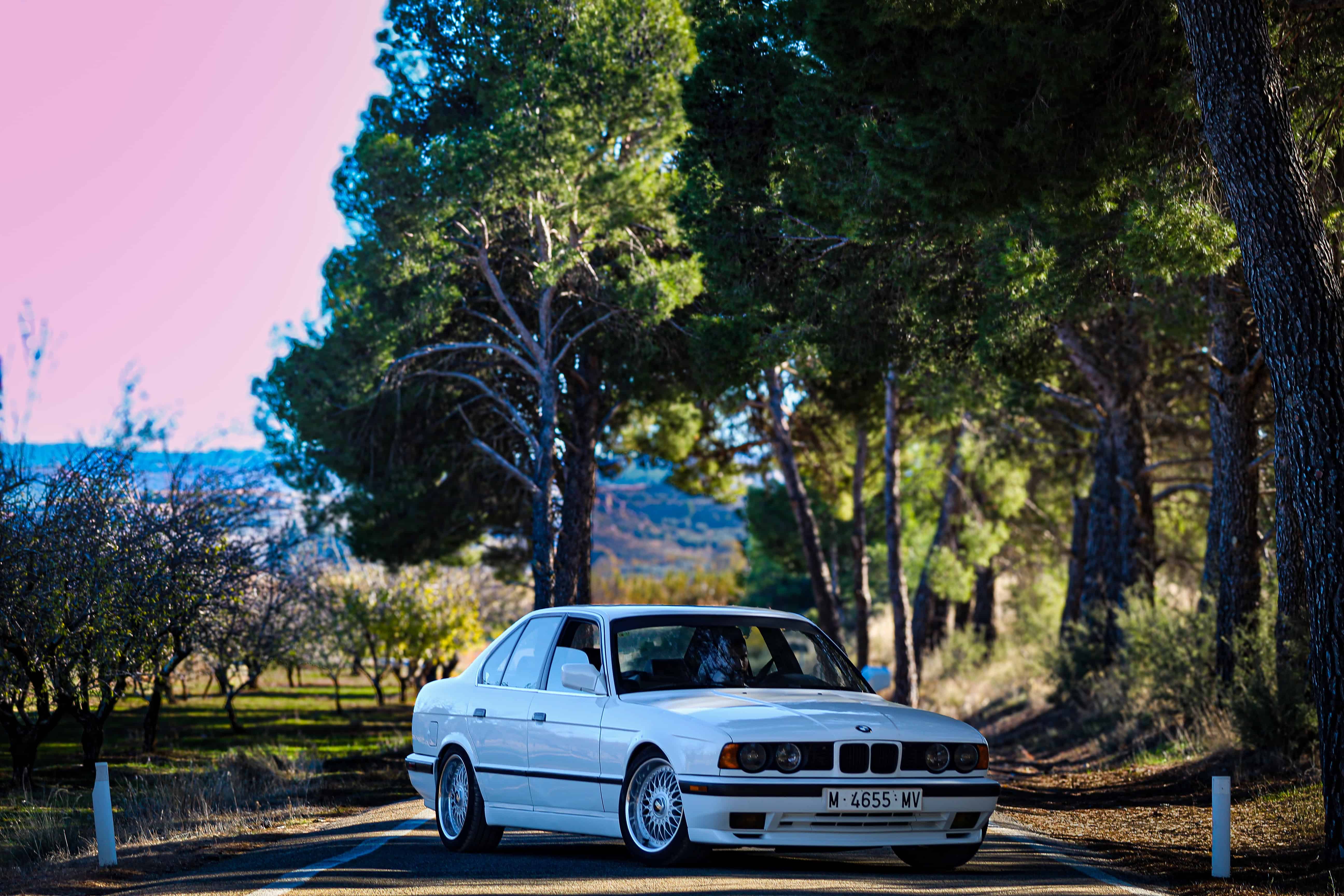 BMW Serie 5 e34 (1991)